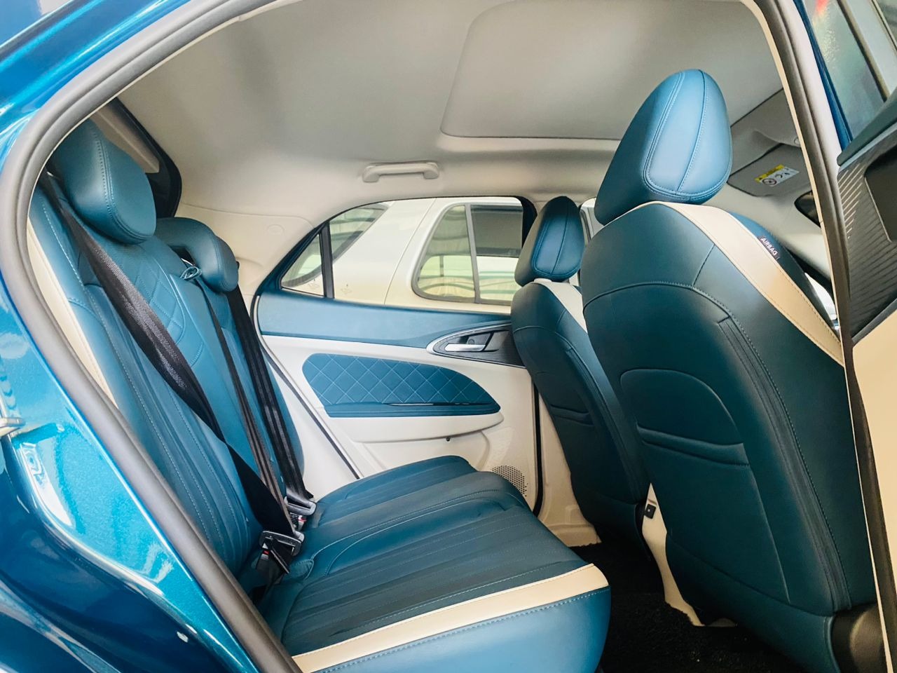 WLN58 PRE-REGISTER GWM ORA GOOD CAT