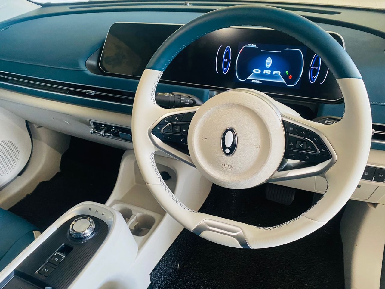 WLN58 PRE-REGISTER GWM ORA GOOD CAT