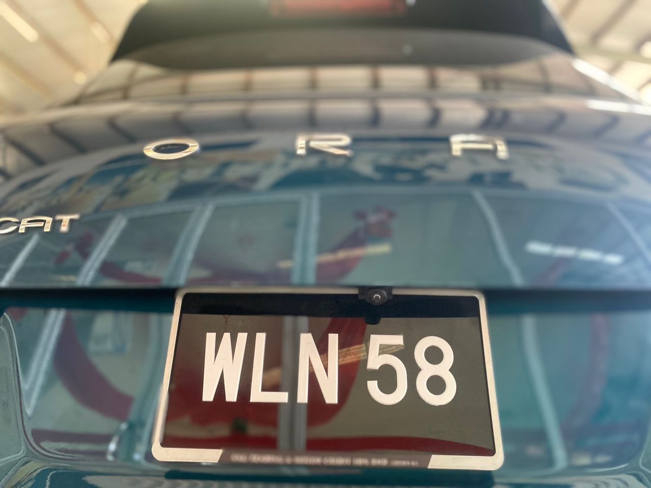 WLN58 PRE-REGISTER GWM ORA GOOD CAT