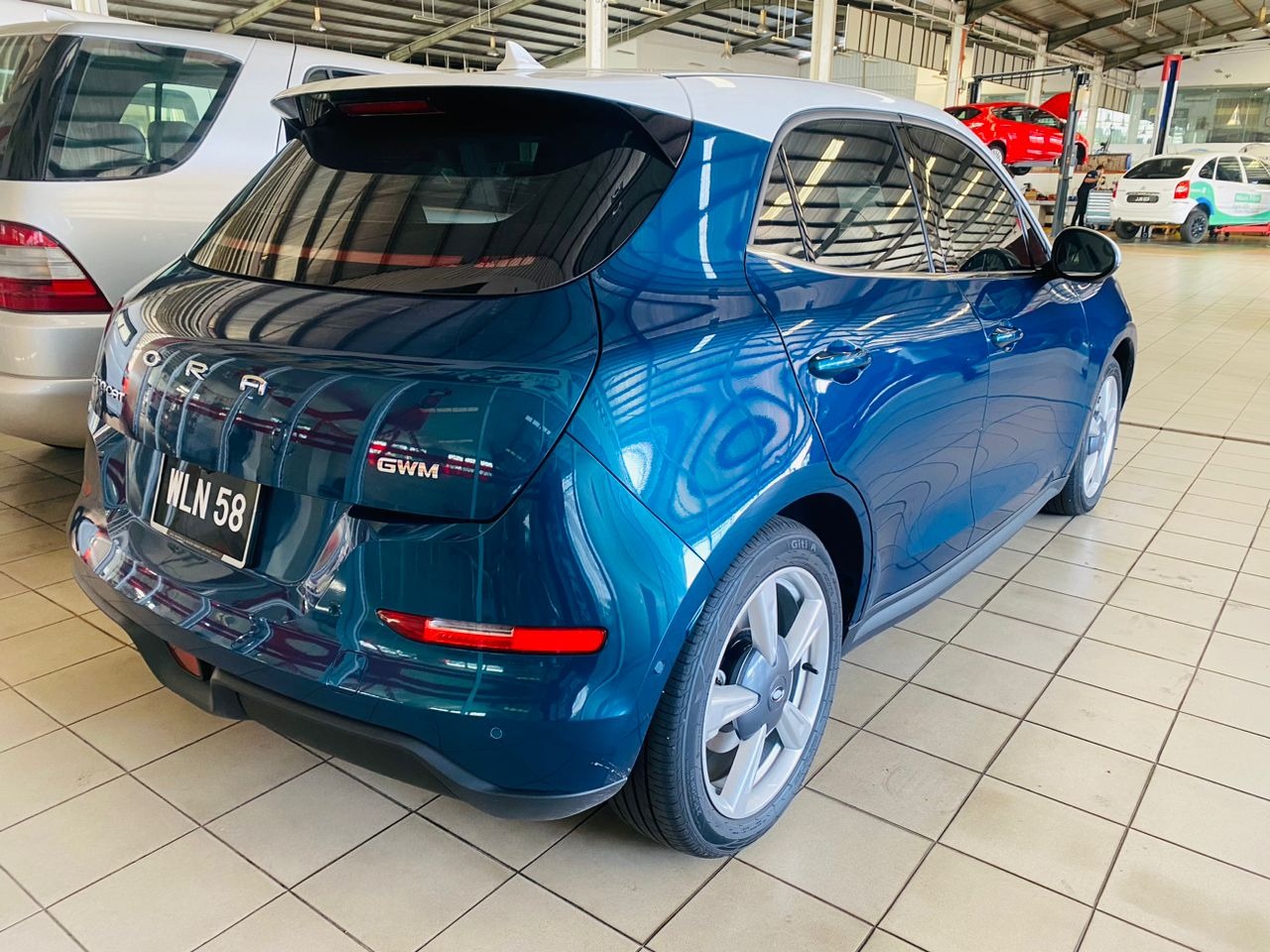 WLN58 PRE-REGISTER GWM ORA GOOD CAT