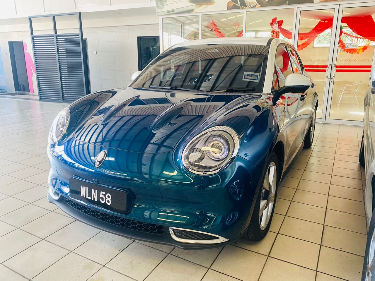 WLN58 PRE-REGISTER GWM ORA GOOD CAT