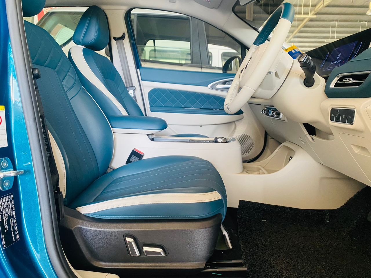 WLN58 PRE-REGISTER GWM ORA GOOD CAT