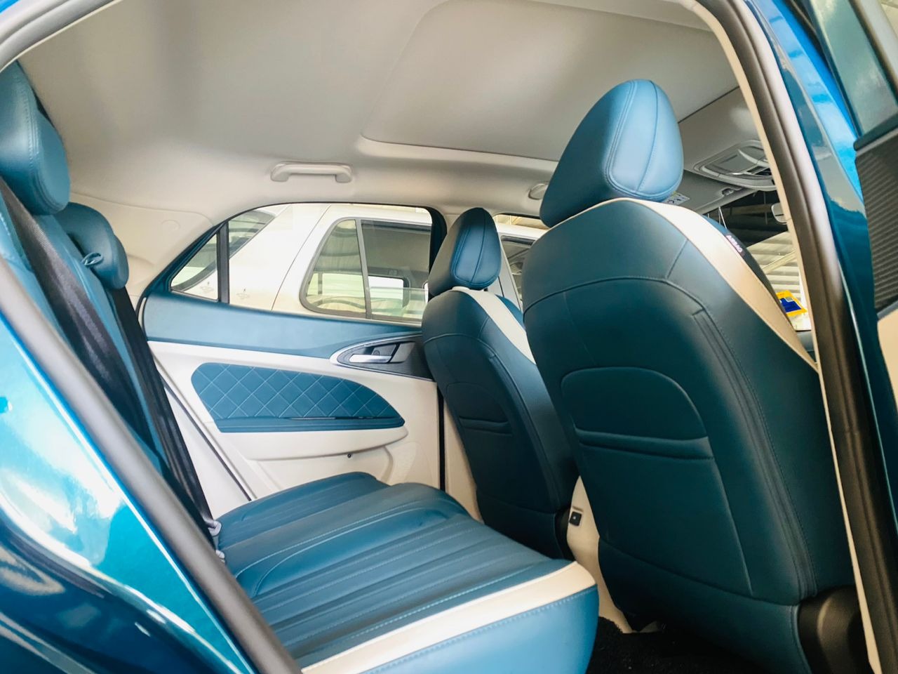 WLN58 PRE-REGISTER GWM ORA GOOD CAT